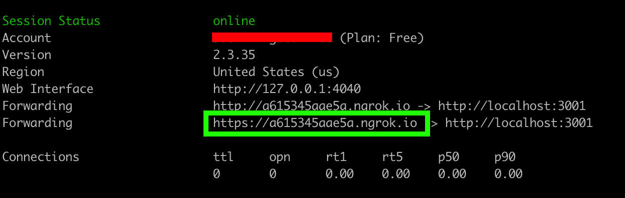 Ngrok terminal example